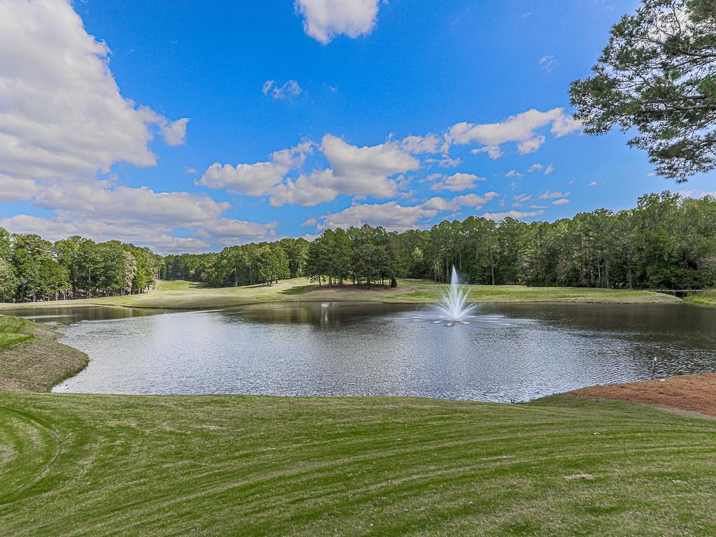 102 Springshade Court Canton, GA 30114 - Photo 61 of 78