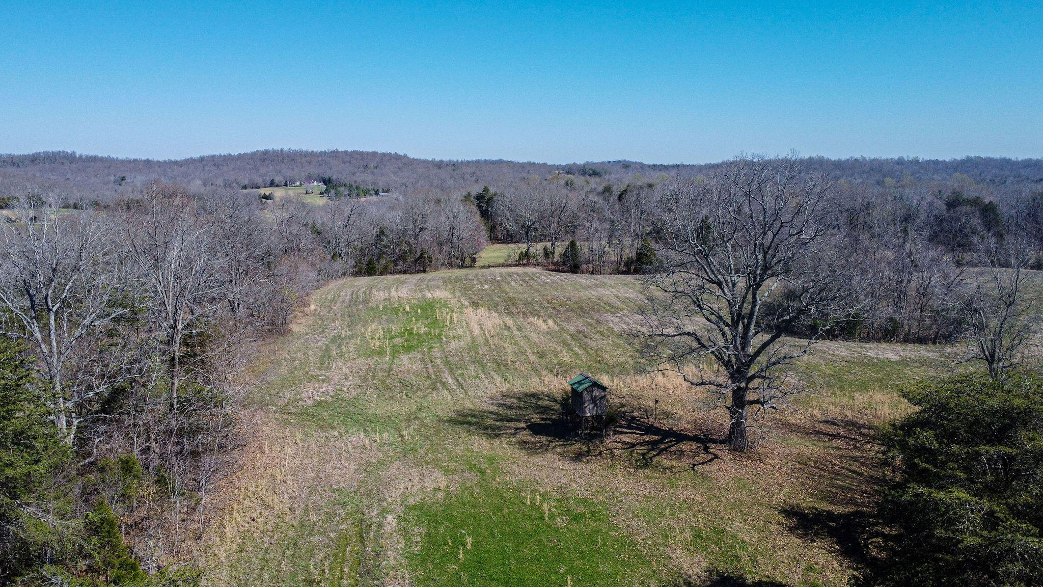 0 Edwards Road Princeton, KY 42445 - Photo 14 of 33 Edwardsrd-79