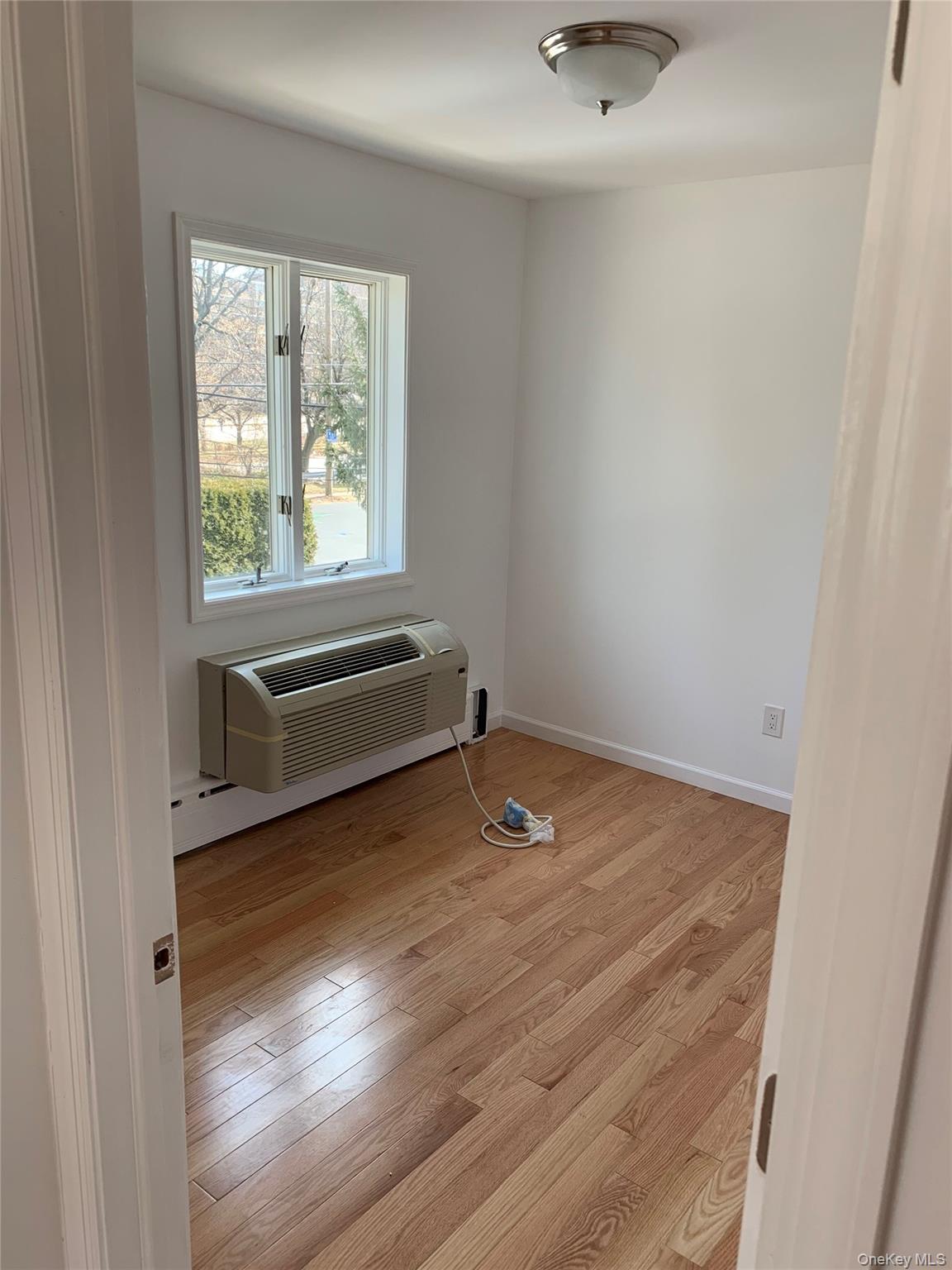 87 Sickles Avenue New Rochelle, NY 10801 - Photo 6 of 10 Spare room with light wood finished floors and a wall mounted AC