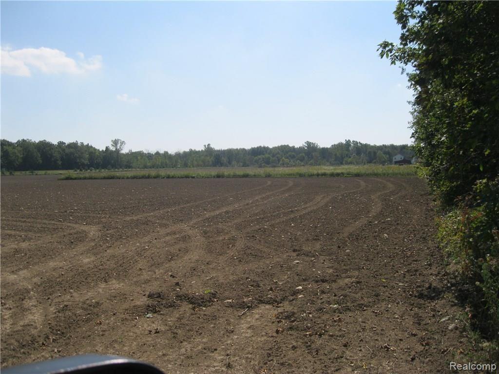 Ob Green Ob Green Green Road Goodells, MI 48027 - Photo 6 of 10