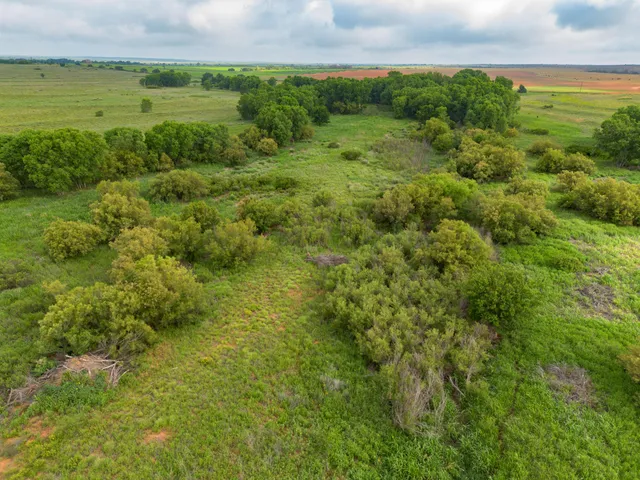 a view of a field with an ocean