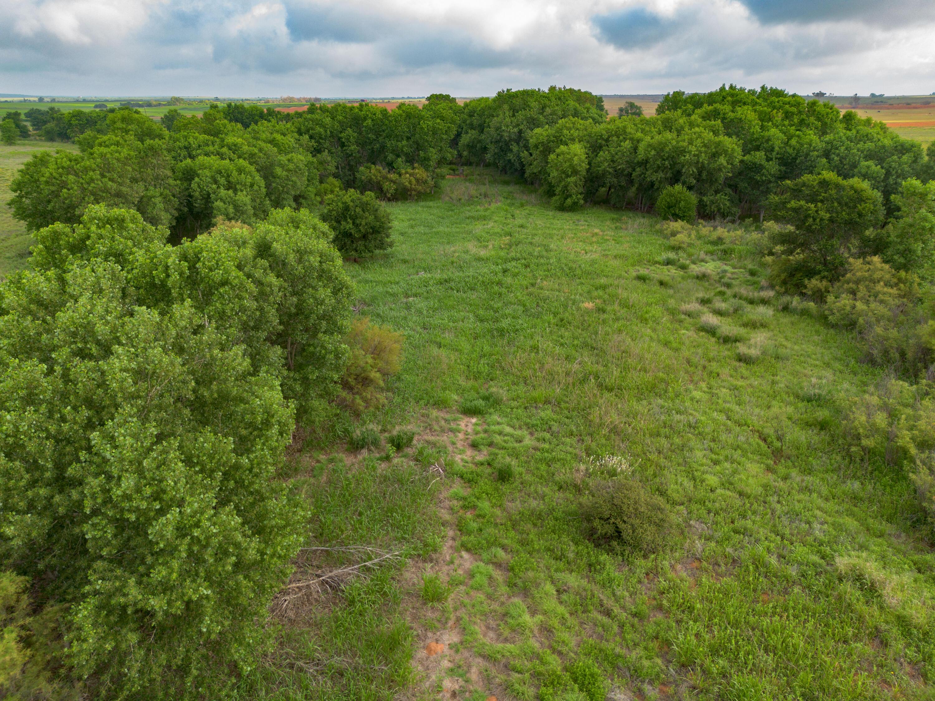 320 Ac Lakeview, TX 79239 - Photo 19 of 64 a view of a lush green outdoor space