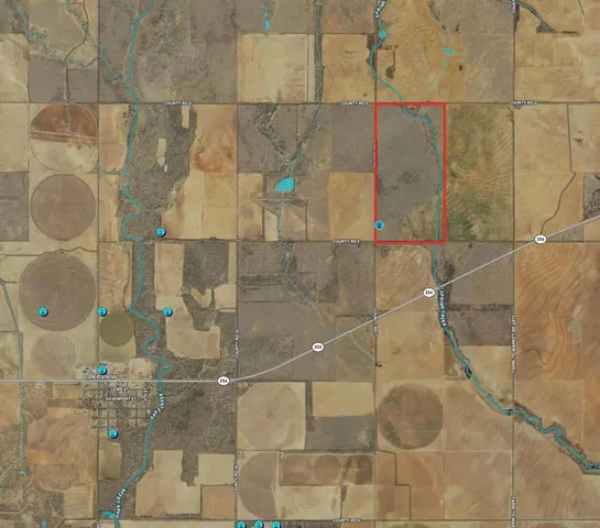 a view of a park with a trees