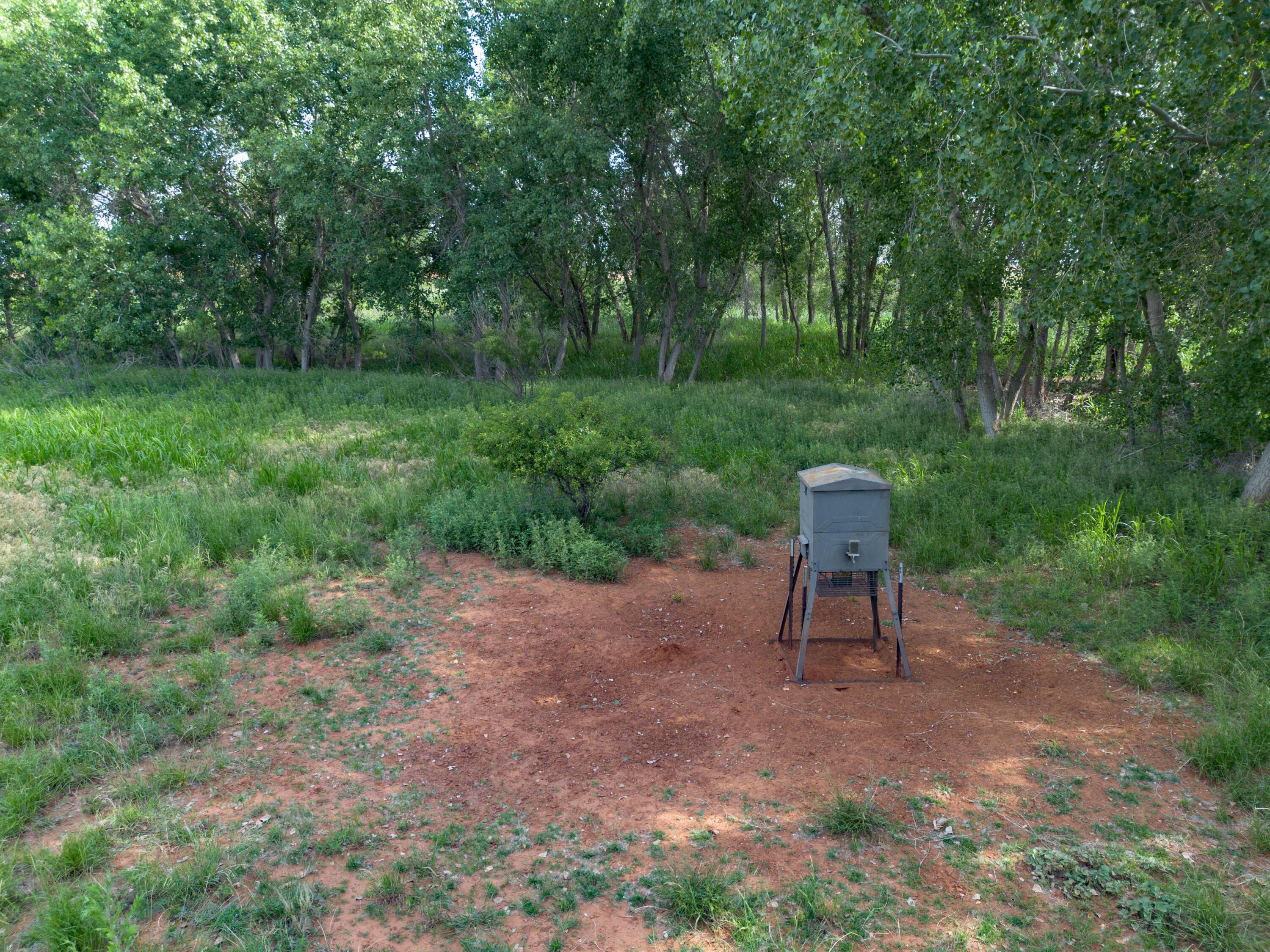 320 Ac Lakeview, TX 79239 - Photo 36 of 64 a backyard of a house with table and chairs