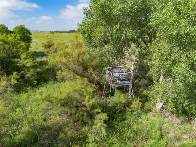 a view of an ocean beach