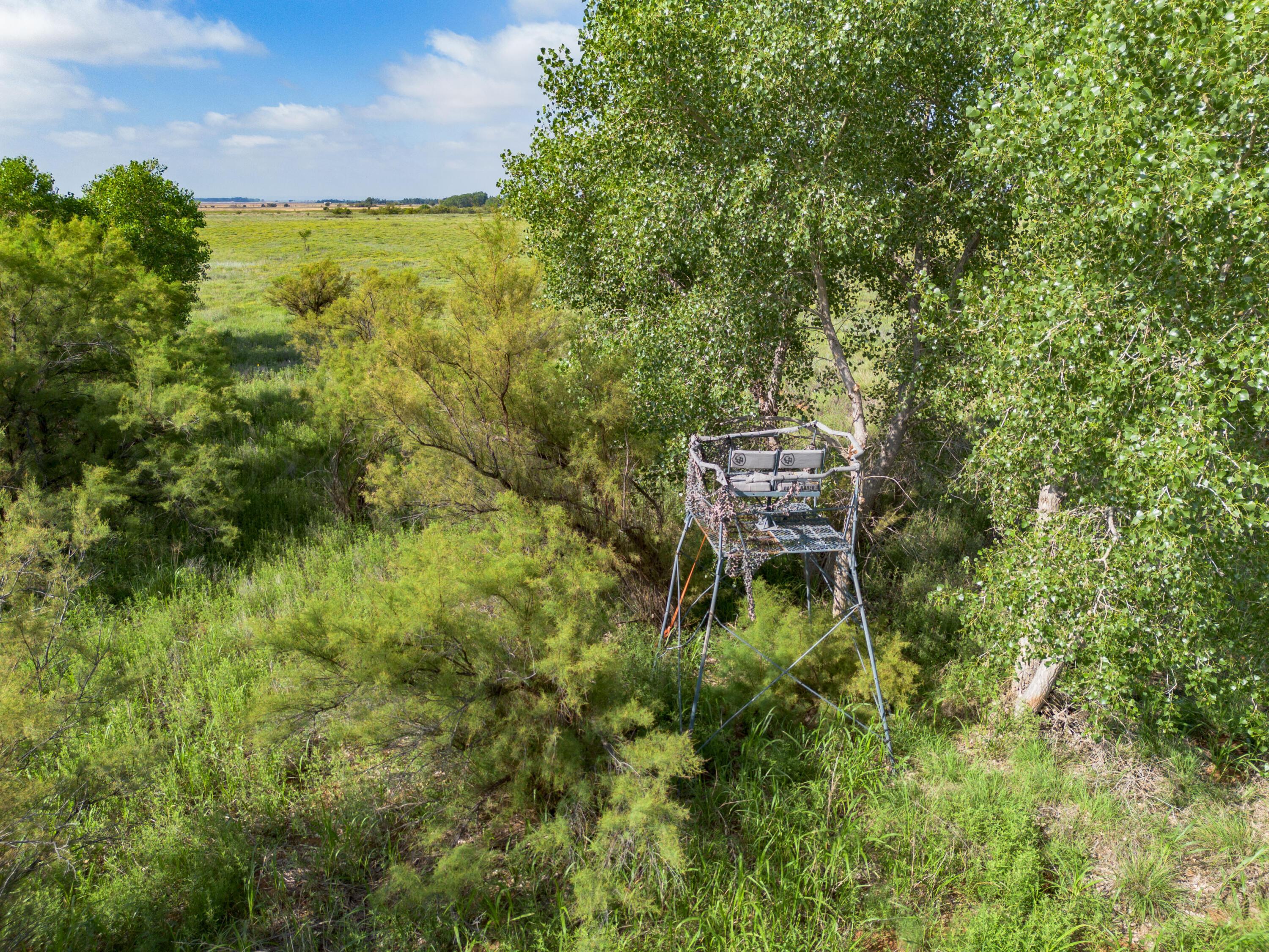 320 Ac Lakeview, TX 79239 - Photo 40 of 64 a backyard of a house with table and chairs