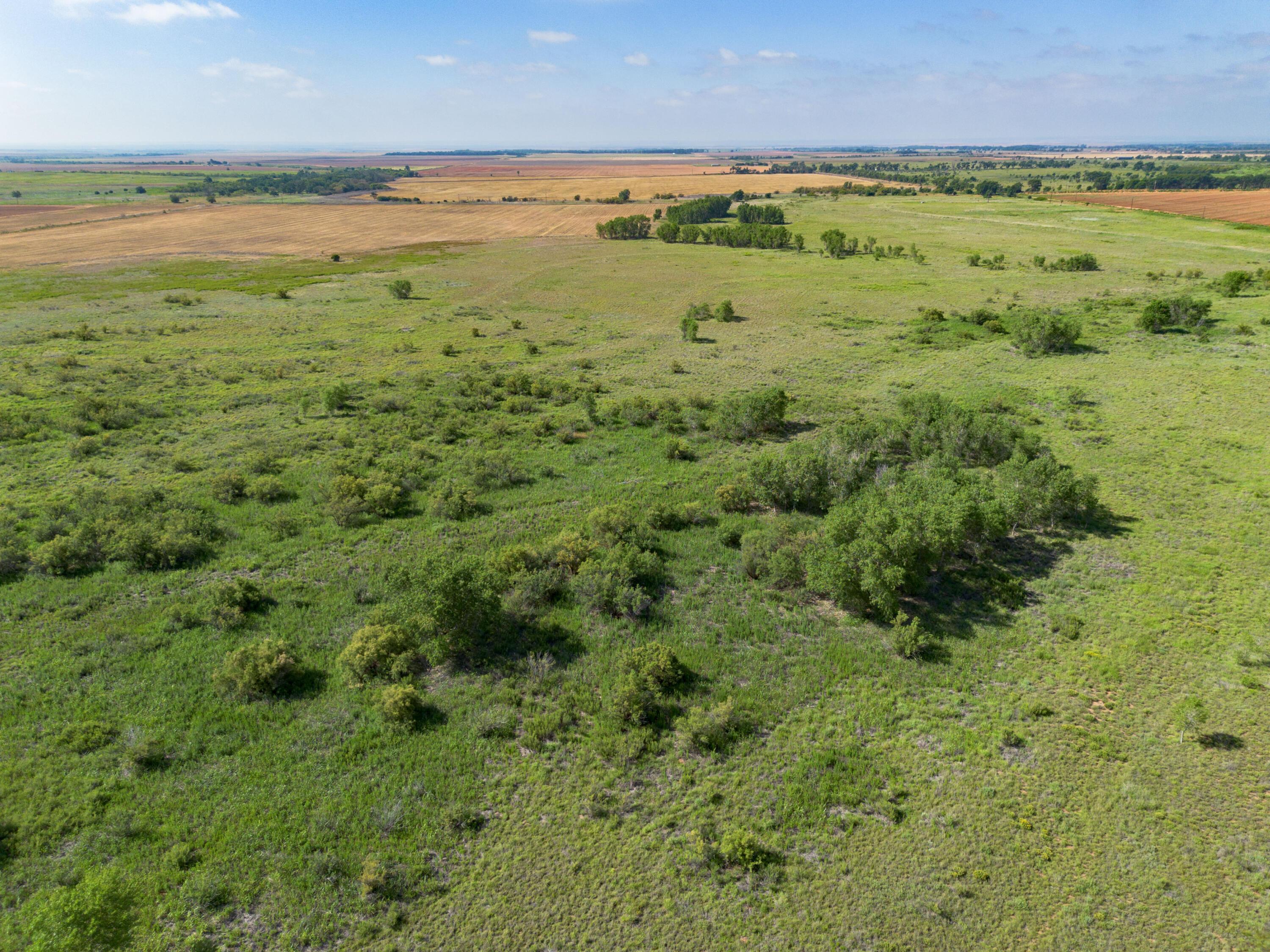 320 Ac Lakeview, TX 79239 - Photo 47 of 64 49