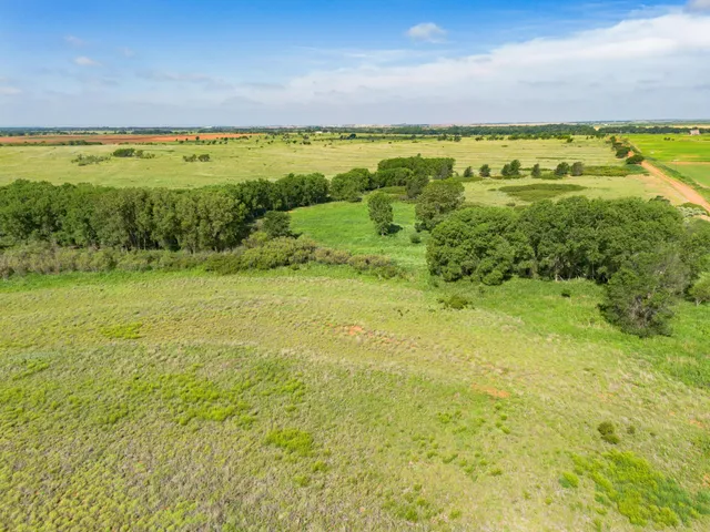 a view of yard with ocean view