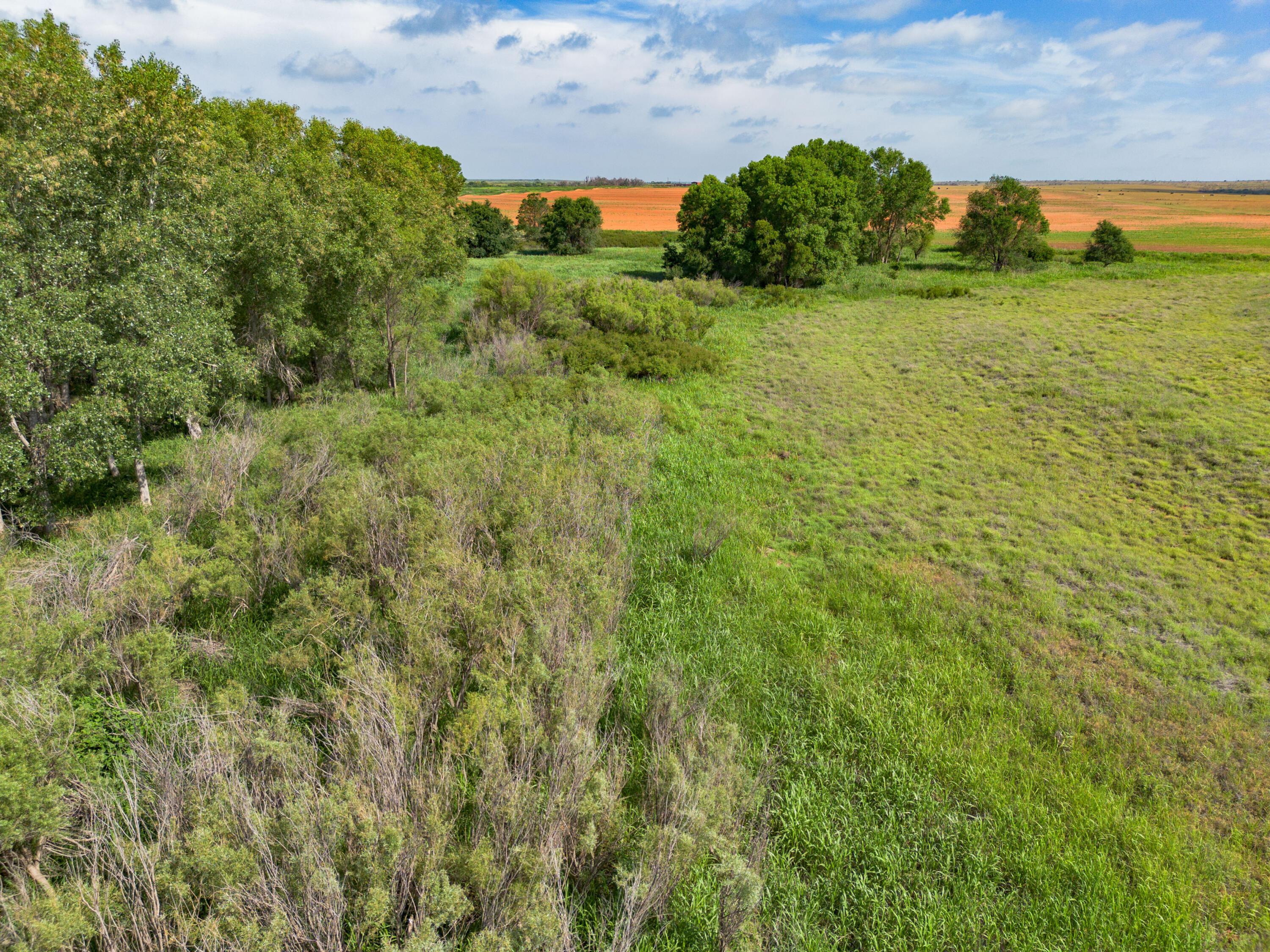 320 Ac Lakeview, TX 79239 - Photo 55 of 64 a view of a garden