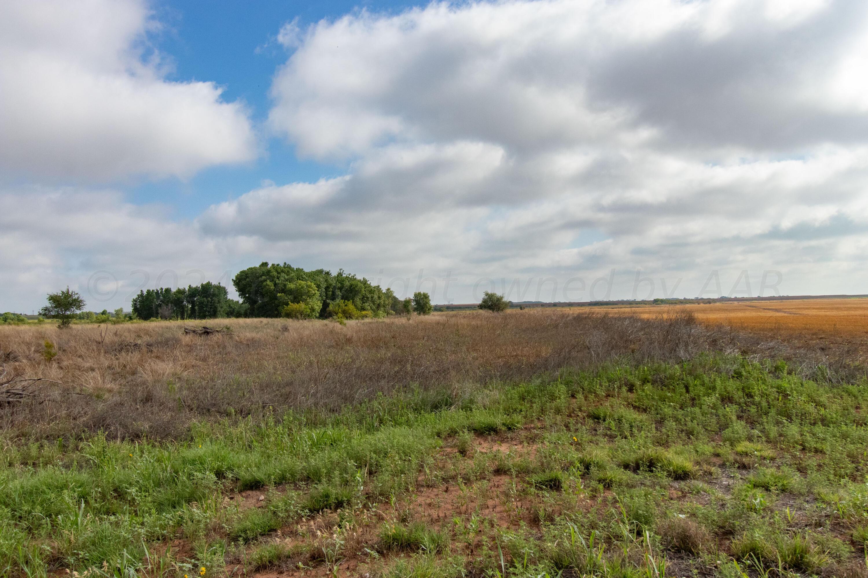 320 Ac Lakeview, TX 79239 - Photo 10 of 64 a view of a field of grass and trees