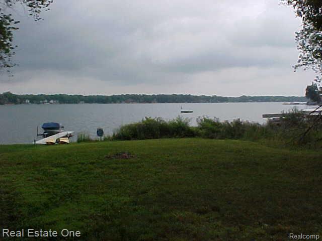 close up lake