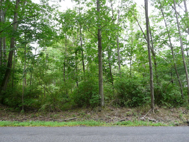 Land Steege Hill Road Corning, NY 14830 - Photo 1 of 1 Gallery Image 1