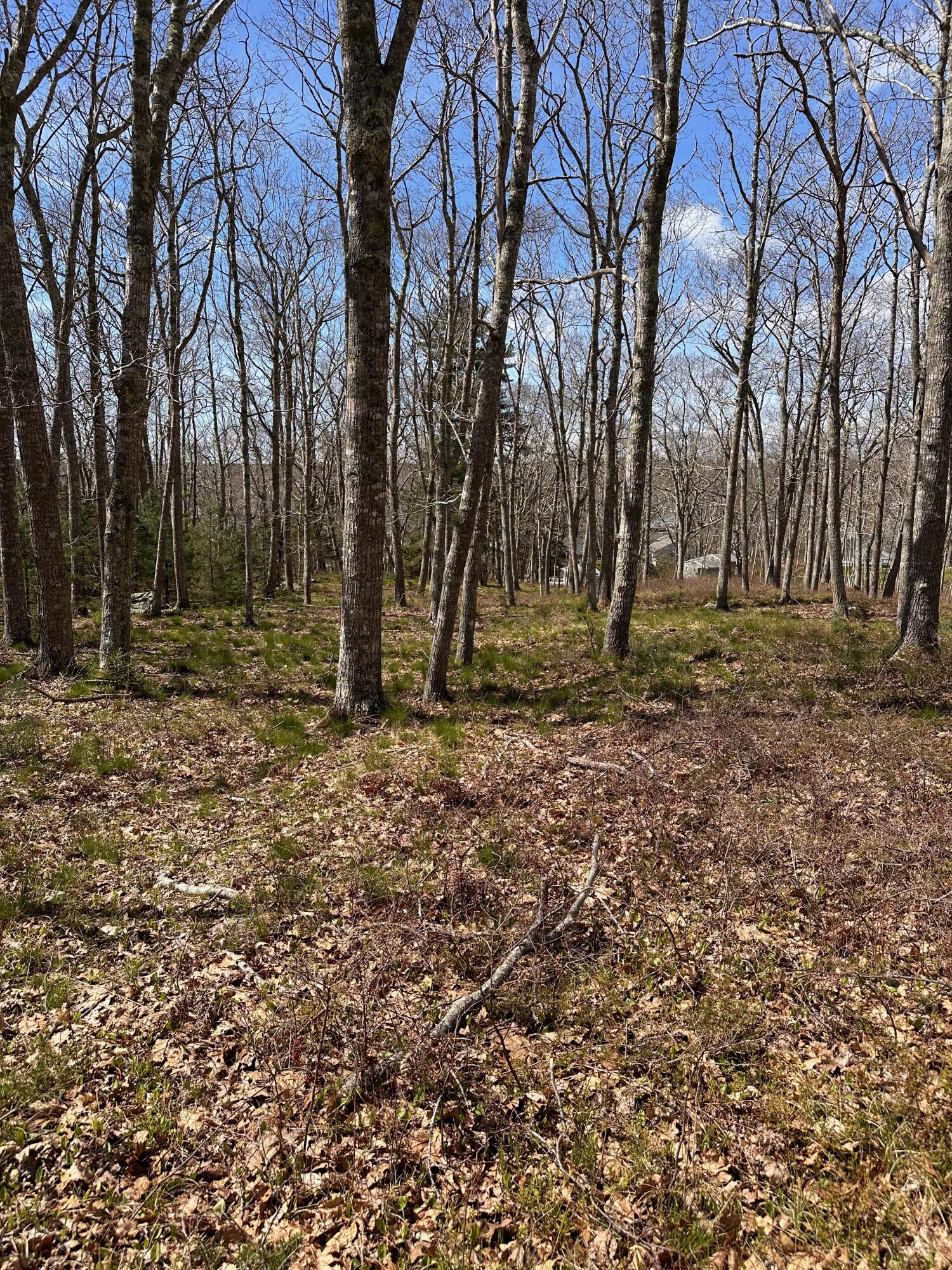 30 Gaffney Hill Road New Harbor, ME 04554 - Photo 2 of 10 IMG_6454