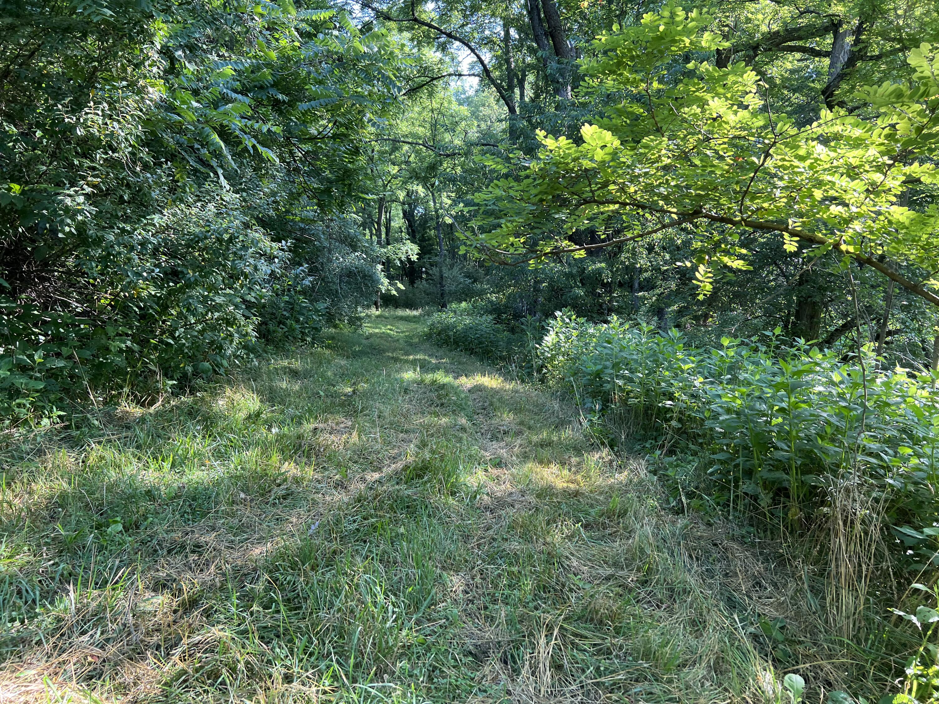 6200 Little River Dam Road Hiwassee, VA 24347 - Photo 11 of 17 HIW 8