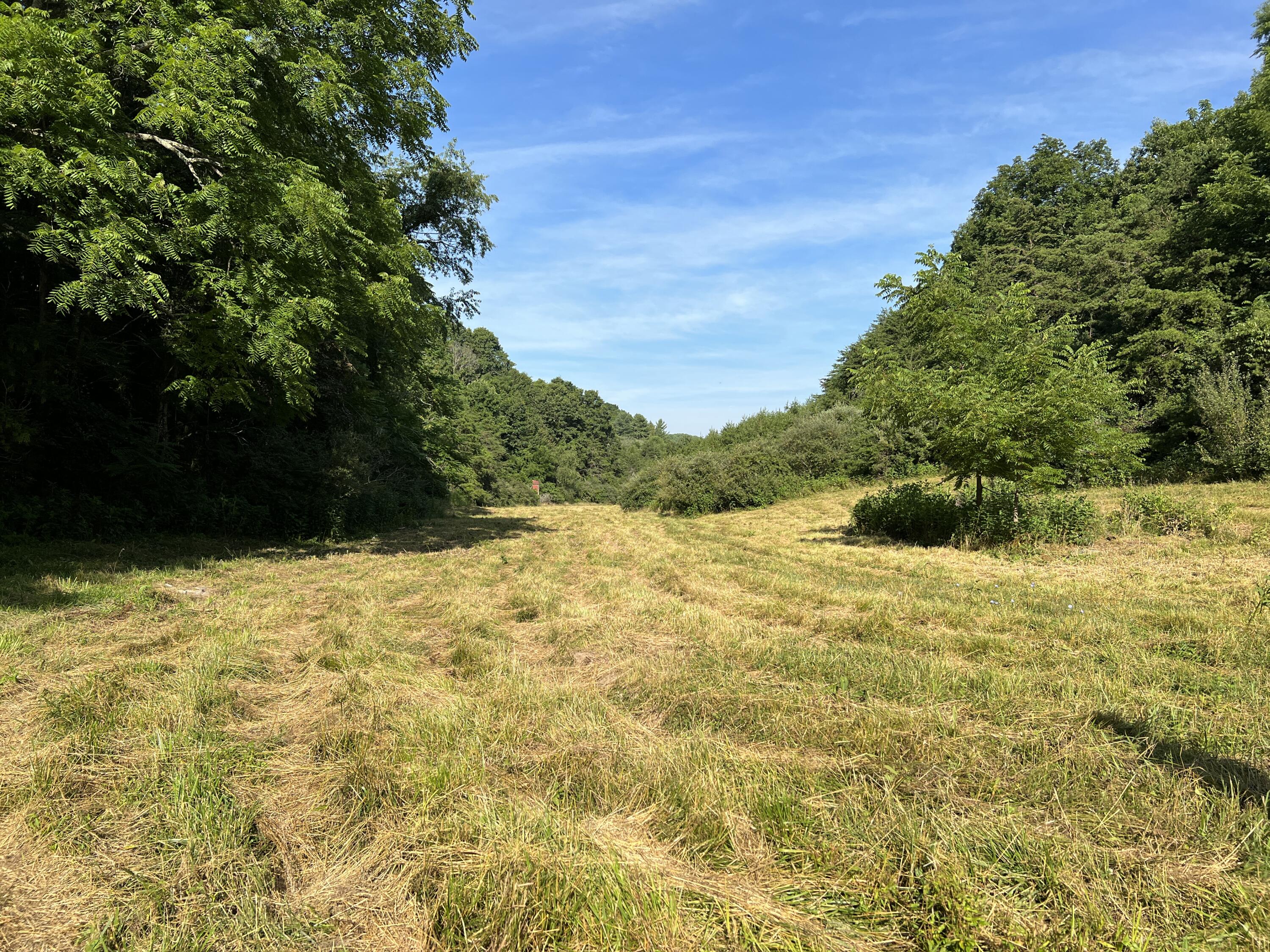 6200 Little River Dam Road Hiwassee, VA 24347 - Photo 12 of 17 HIW 6