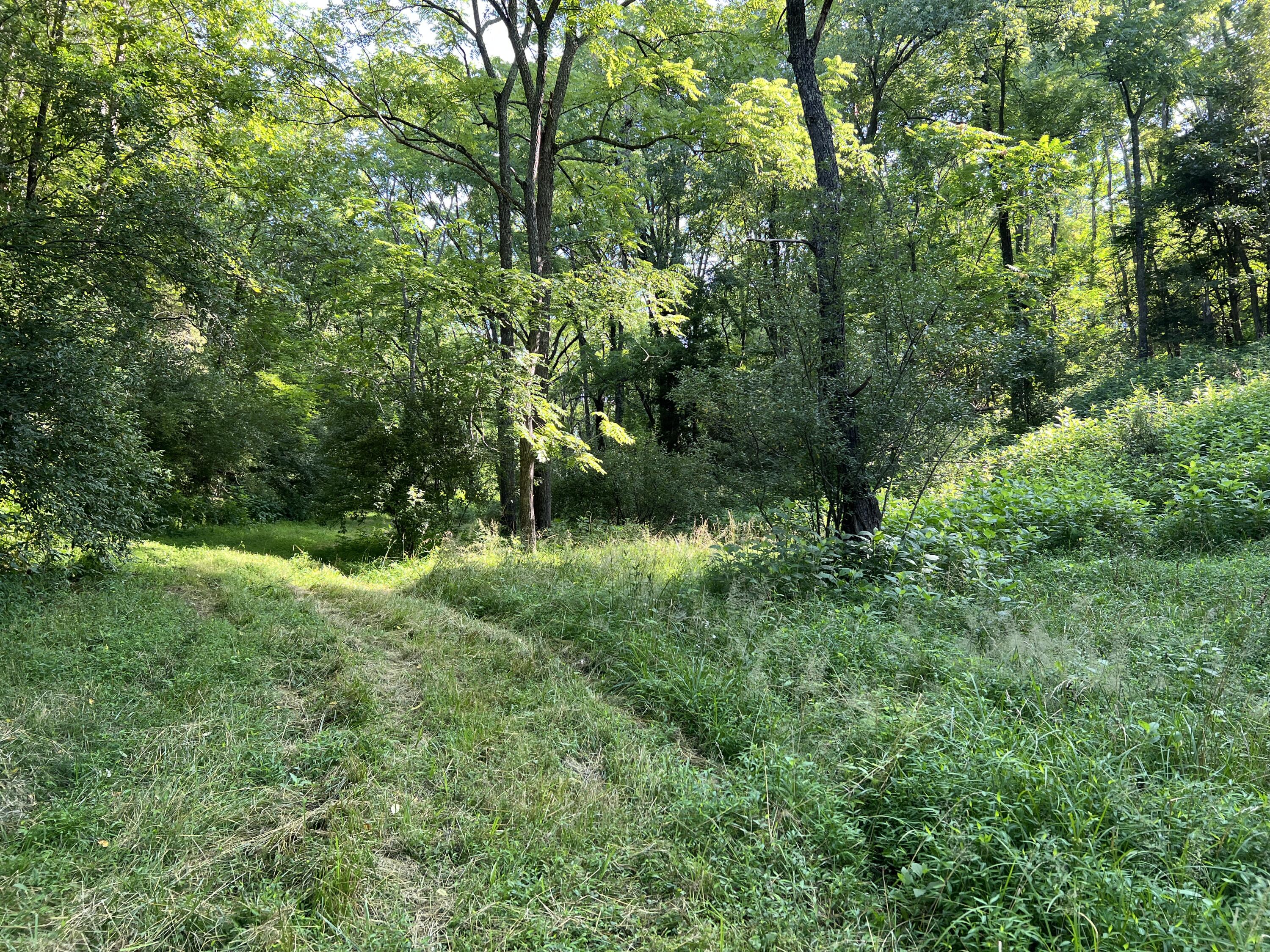 6200 Little River Dam Road Hiwassee, VA 24347 - Photo 13 of 17 HIW 10