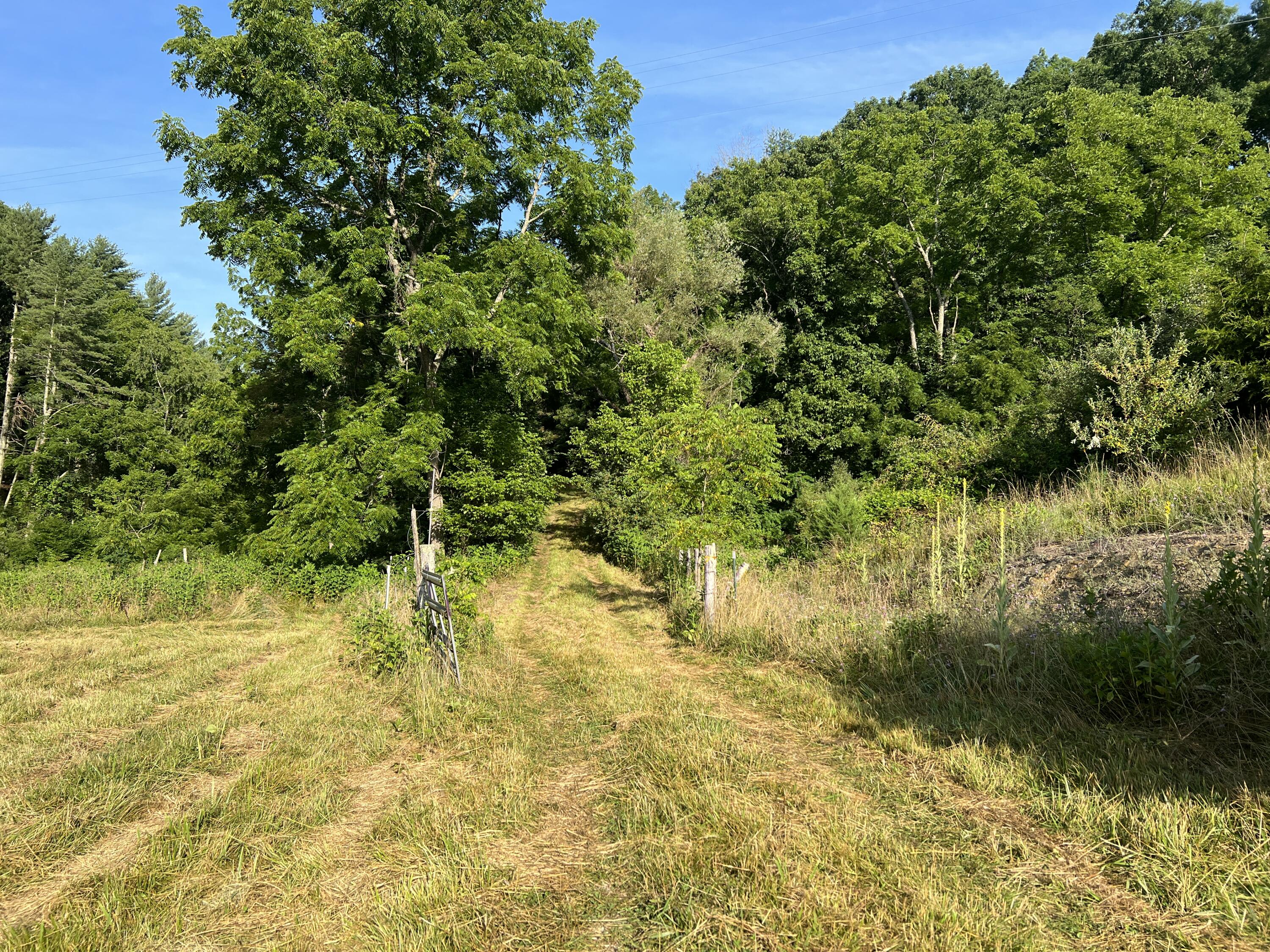 6200 Little River Dam Road Hiwassee, VA 24347 - Photo 17 of 17 HIW 2