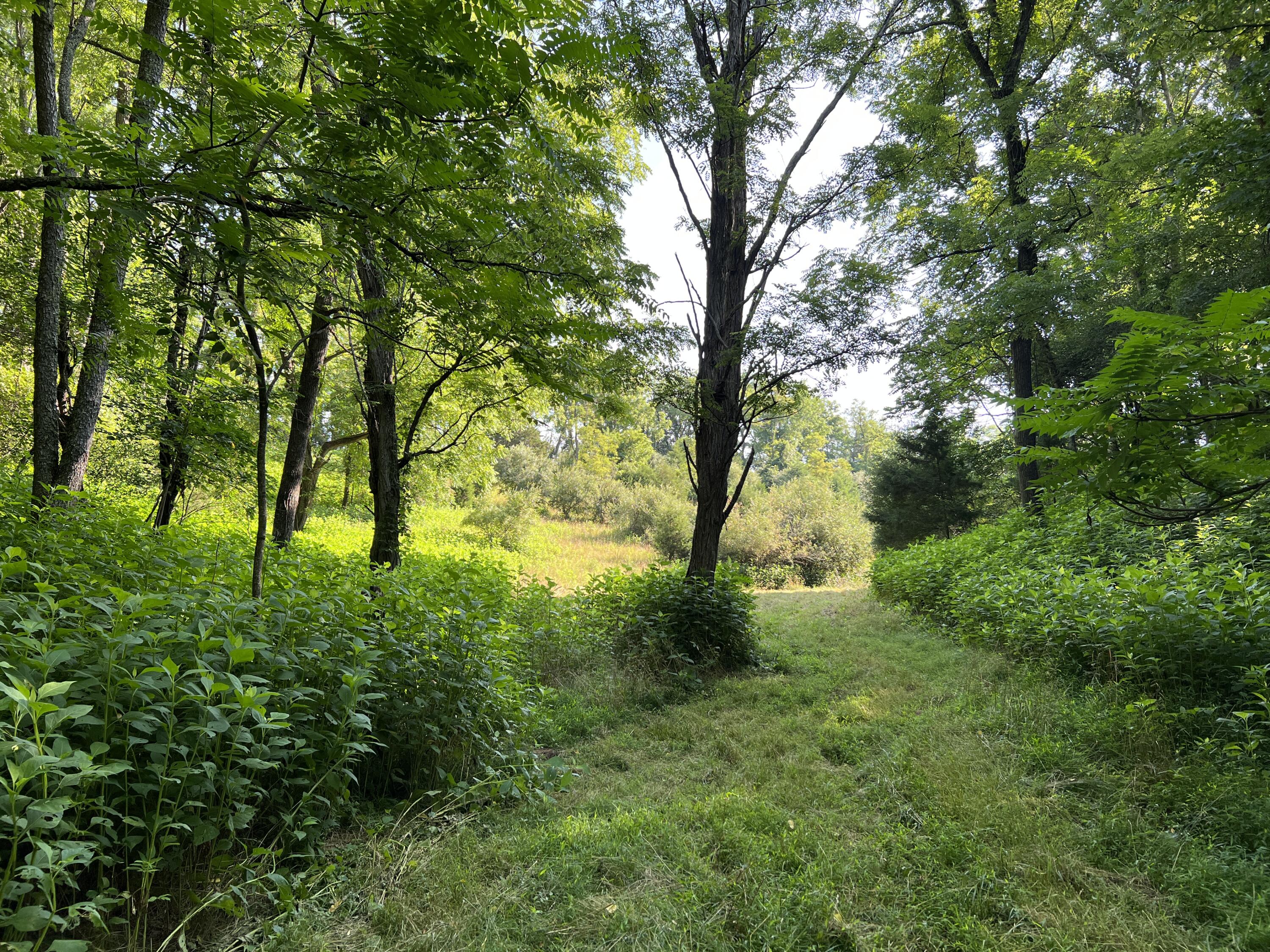 6200 Little River Dam Road Hiwassee, VA 24347 - Photo 10 of 17 HIW 13