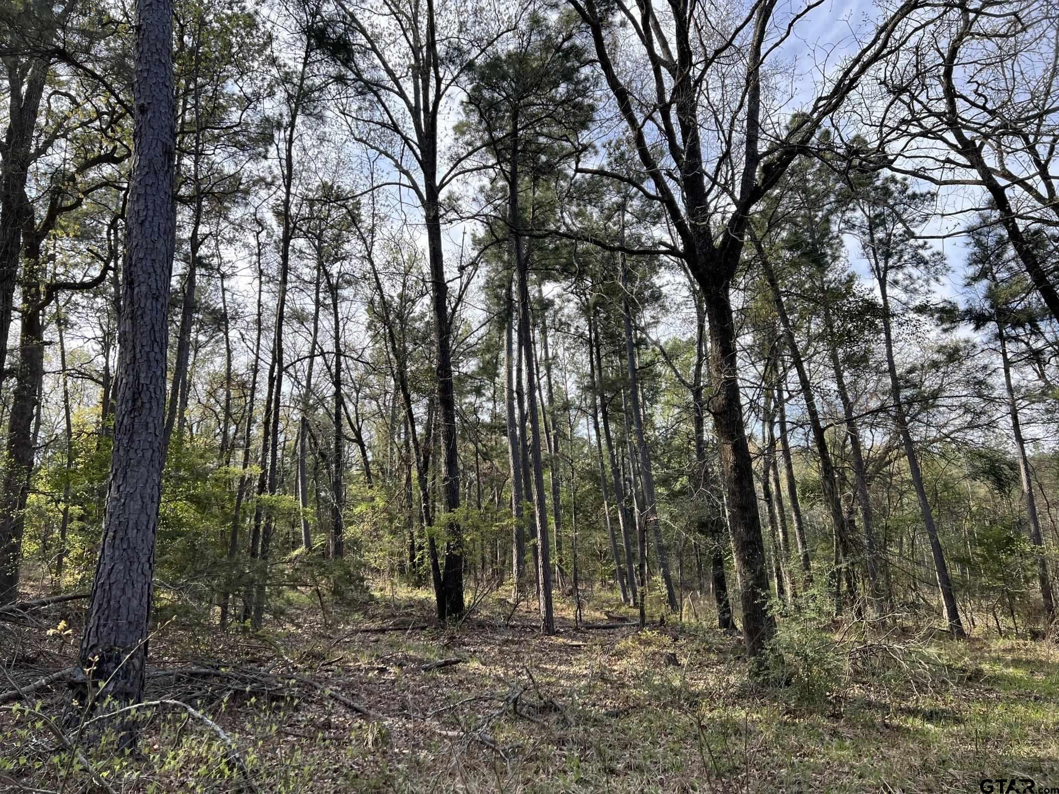 0 C R 434 Lindale, TX 75771 - Photo 13 of 29