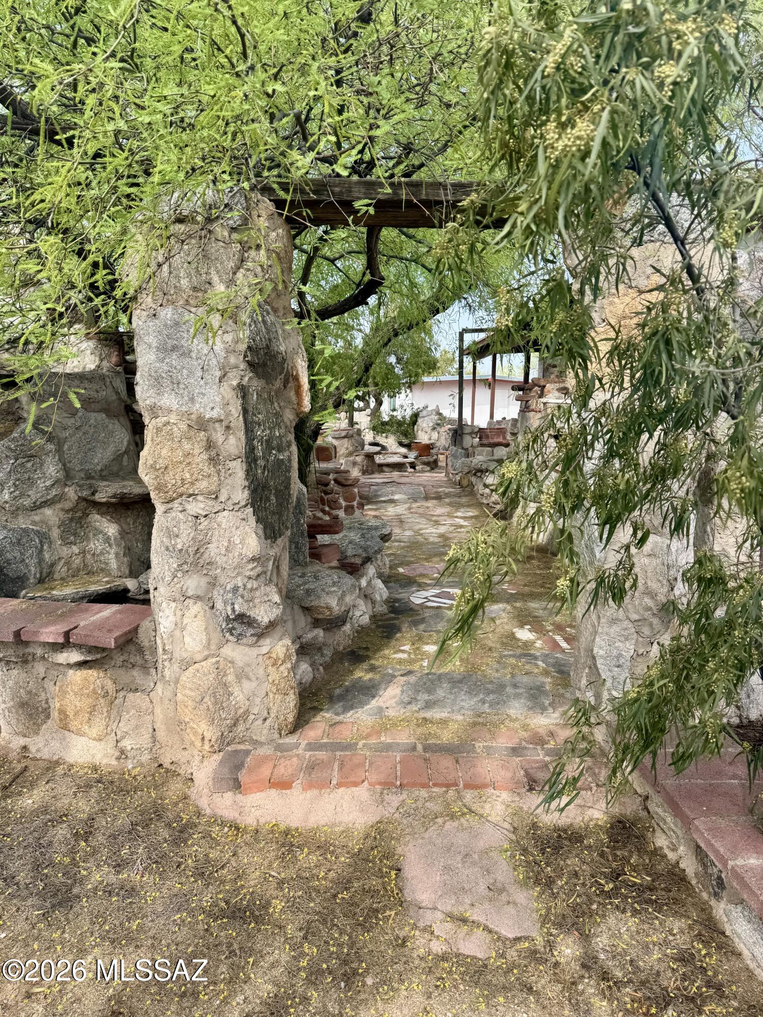 4415 North Swan Road Tucson, AZ 85718 - Photo 27 of 33 a view of a yard with plants and a bench