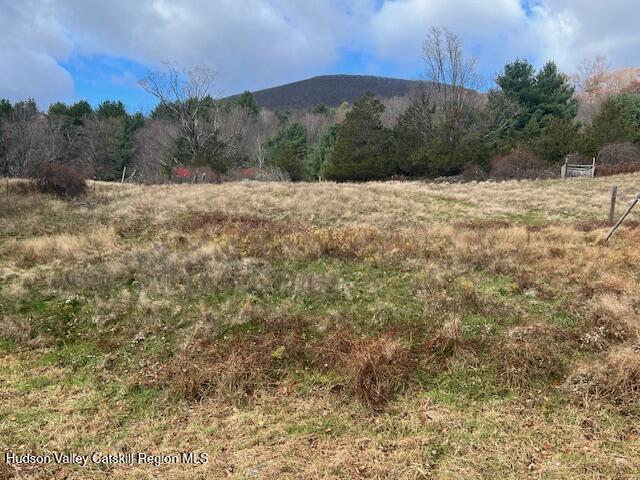 244 Upper Samsonville Road Olivebridge, NY 12461 - Photo 5 of 17 land