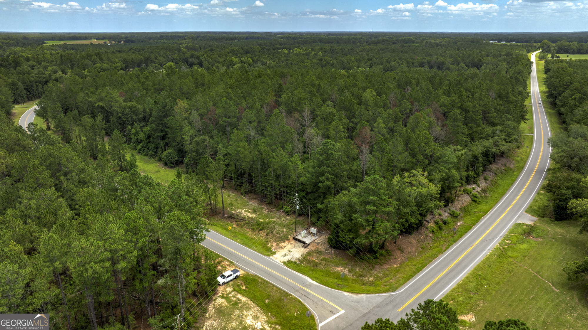 0 Stafford Road Claxton, GA 30417 - Photo 2 of 15 Gallery Image 2