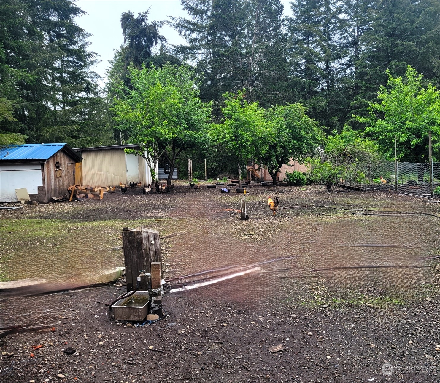 196 Cloquallum Road Elma, WA 98541 - Photo 18 of 20 Gallery Image 18