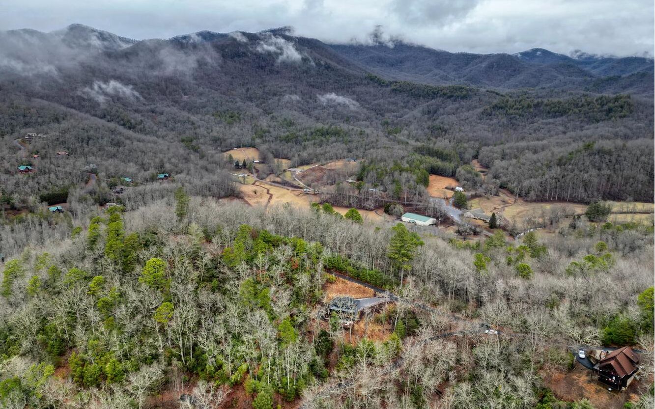 7135 Nell View Road Hiawassee, GA 30546 - Photo 54 of 64 Additional View