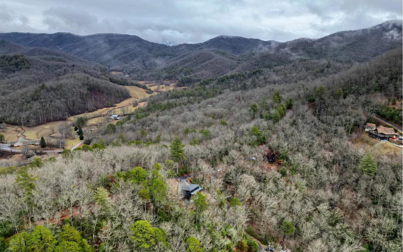 7135 Nell View Road Hiawassee, GA 30546 - Photo 55 of 64 Additional View