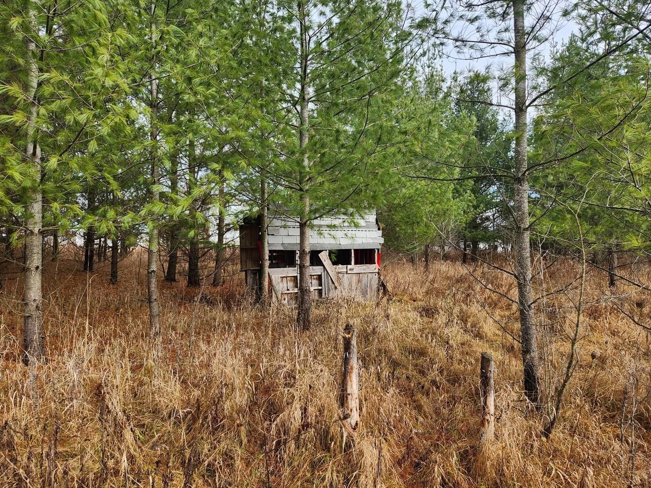 6473 Maple Hill Road Southwest Fife Lake, MI 49633 - Photo 11 of 18 Gallery Image 11