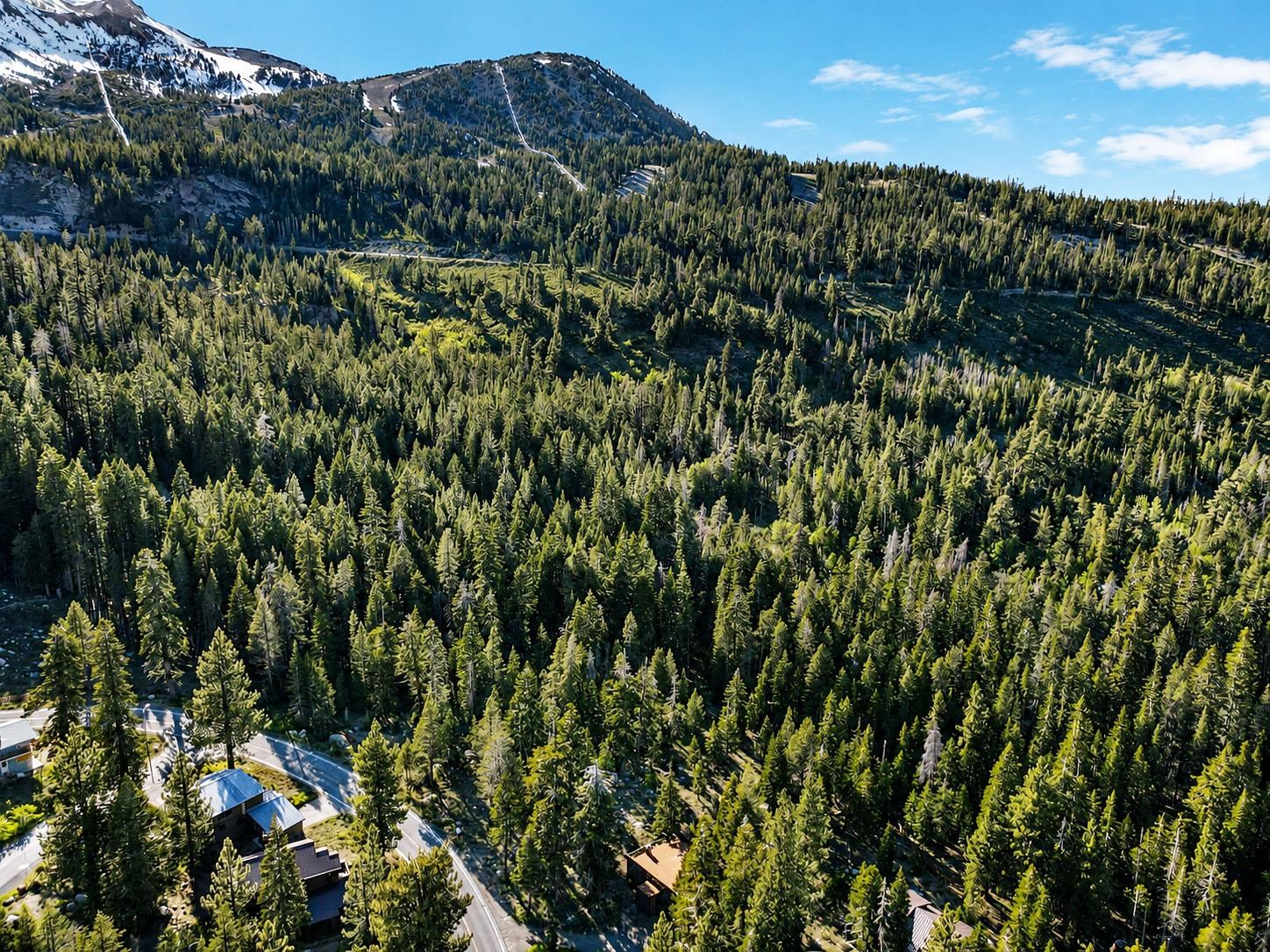 2570 Old Mammoth Road Mammoth Lakes, CA 93546 - Photo 37 of 39 Expansive evergreen forest landscape with distant snow-capped mountains