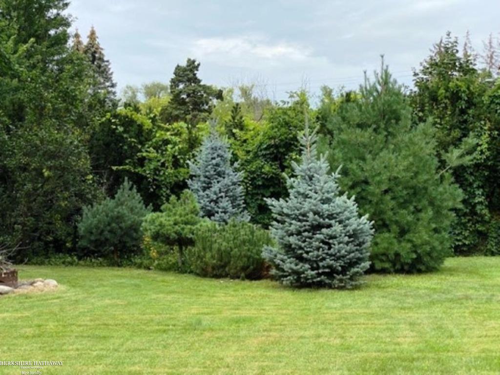 58260 Ruth Jean Washington, MI 48094 - Photo 31 of 40