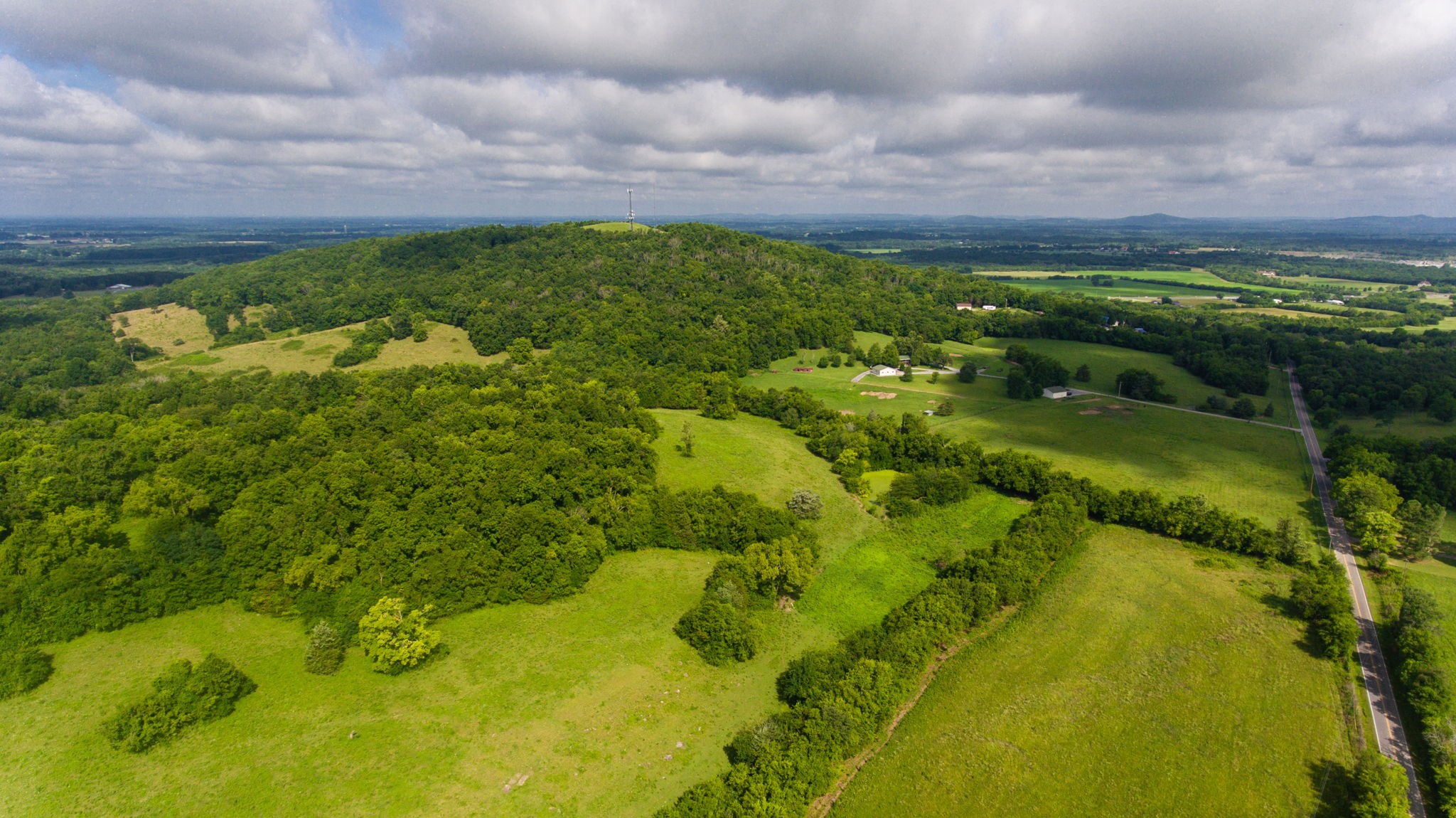 559 Coop Road Bell Buckle, TN 37020 - Photo 3 of 11 Gallery Image 3