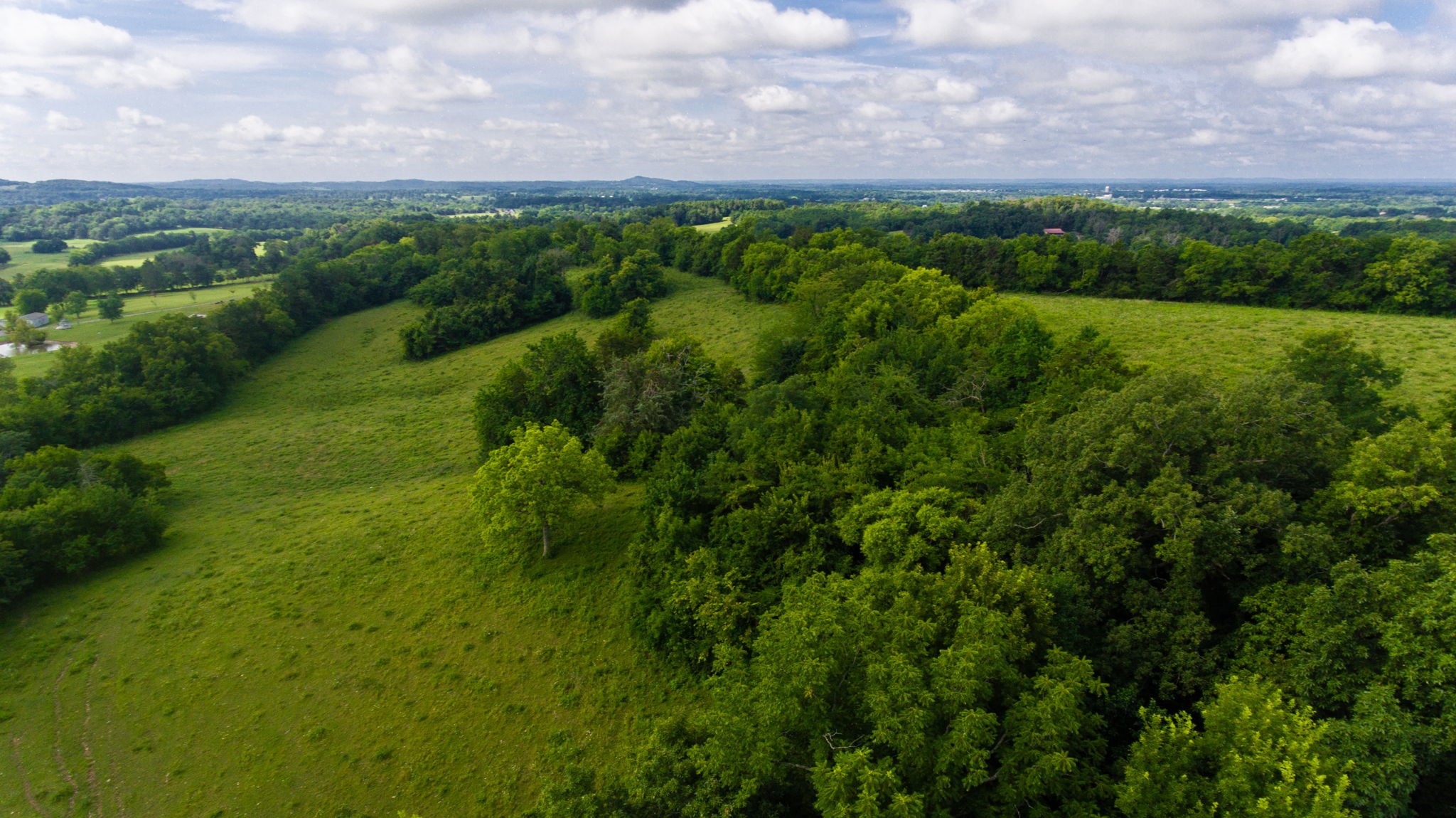 559 Coop Road Bell Buckle, TN 37020 - Photo 5 of 11 Gallery Image 5