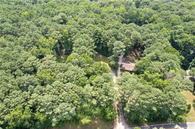 a view of a forest from a yard