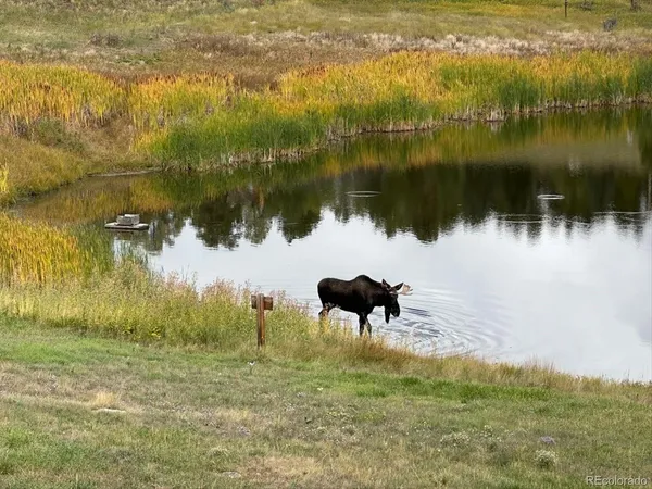 a view of a lake with a yard
