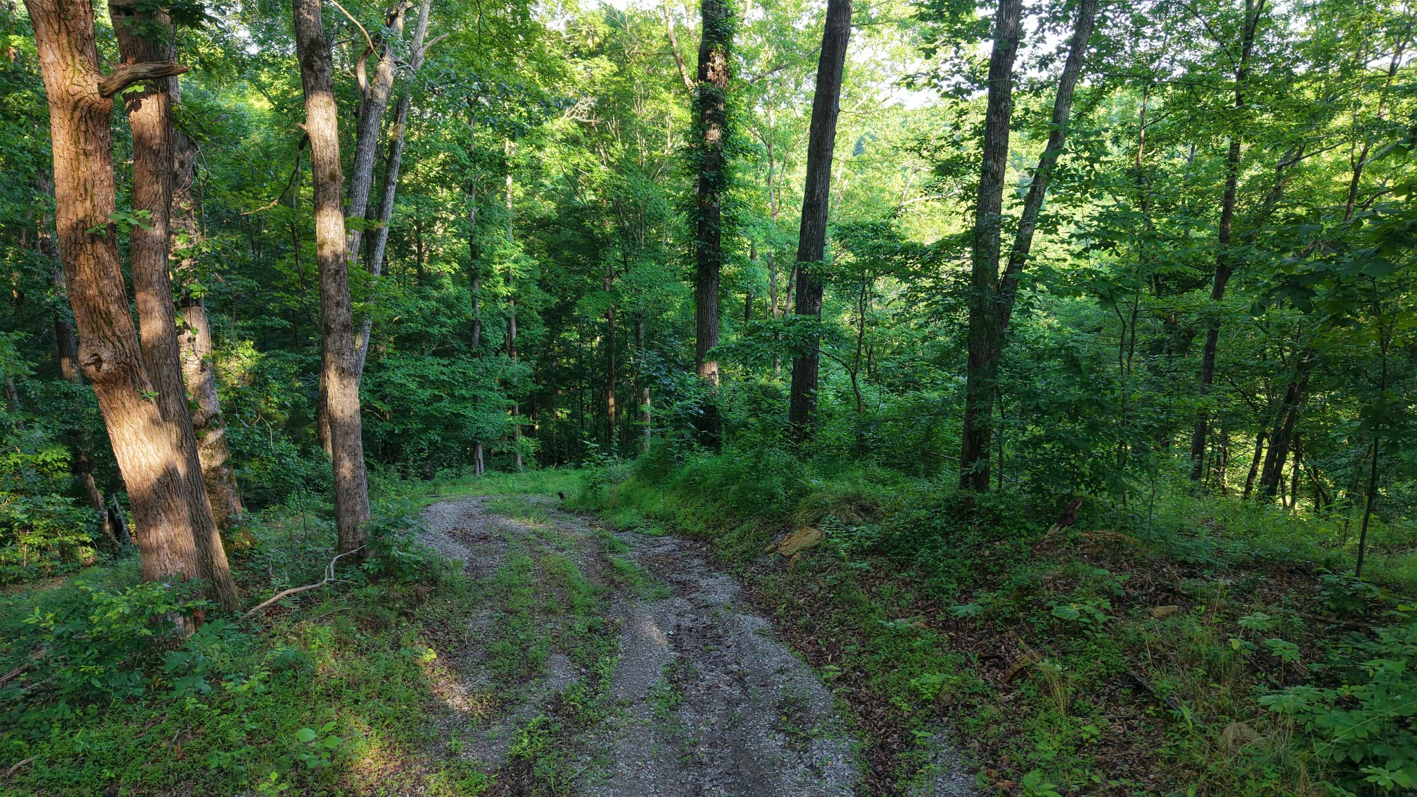 0 Gimlet Creek Road Lawrenceburg, TN 38464 - Photo 18 of 22