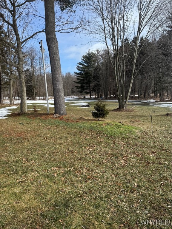 1563 County Line Road Yates, NY 14012 - Photo 36 of 41