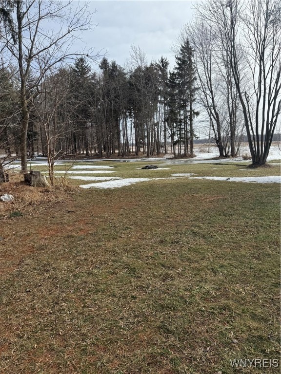 1563 County Line Road Yates, NY 14012 - Photo 37 of 41