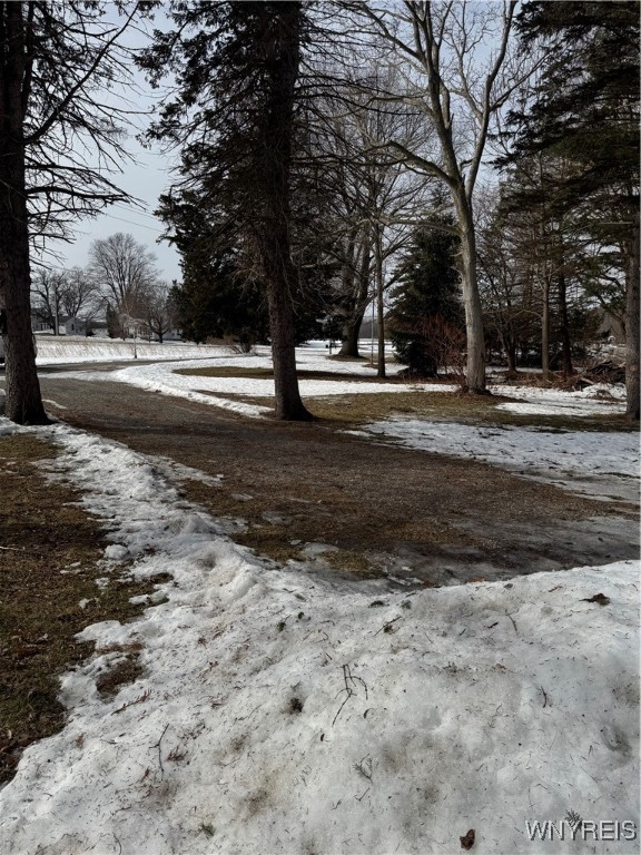 1563 County Line Road Yates, NY 14012 - Photo 38 of 41