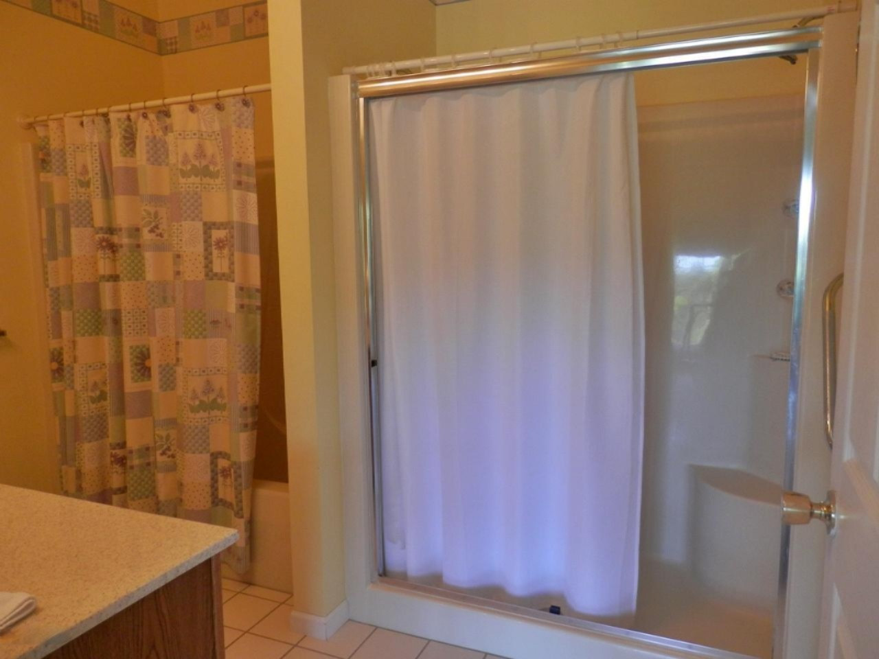 22296 Benton Road Mesick, MI 49668 - Photo 16 of 56 Master bath with tub and shower
