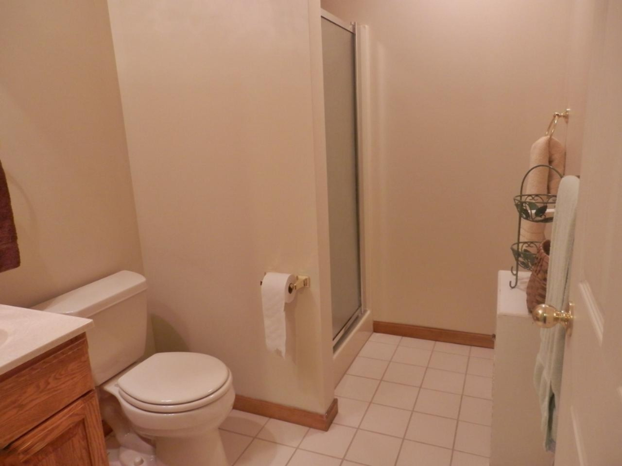 22296 Benton Road Mesick, MI 49668 - Photo 27 of 56 Lower level full bath with shower