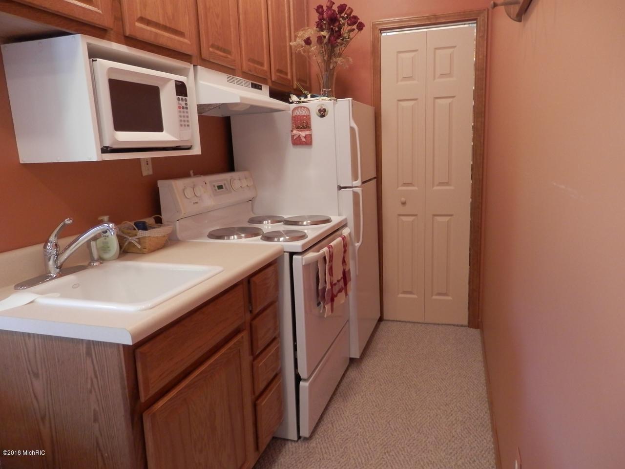 22296 Benton Road Mesick, MI 49668 - Photo 30 of 56 2nd kit for entertaining in walk-out
