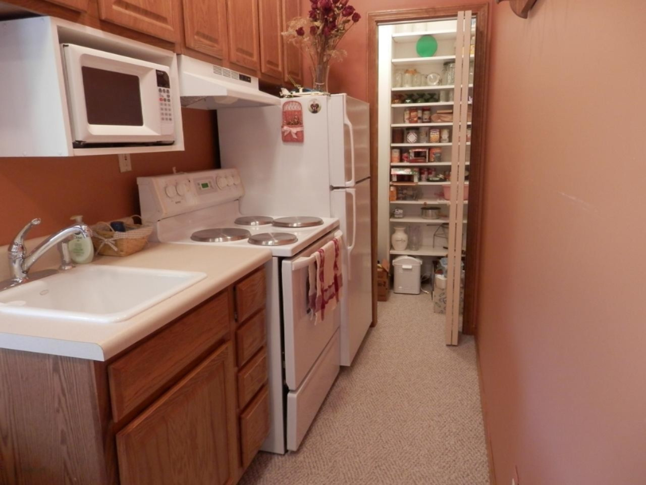 22296 Benton Road Mesick, MI 49668 - Photo 31 of 56 Pantry in 2nd kitchen