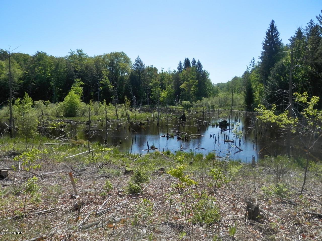 22296 Benton Road Mesick, MI 49668 - Photo 40 of 56 Beaver pond and surrounding woods
