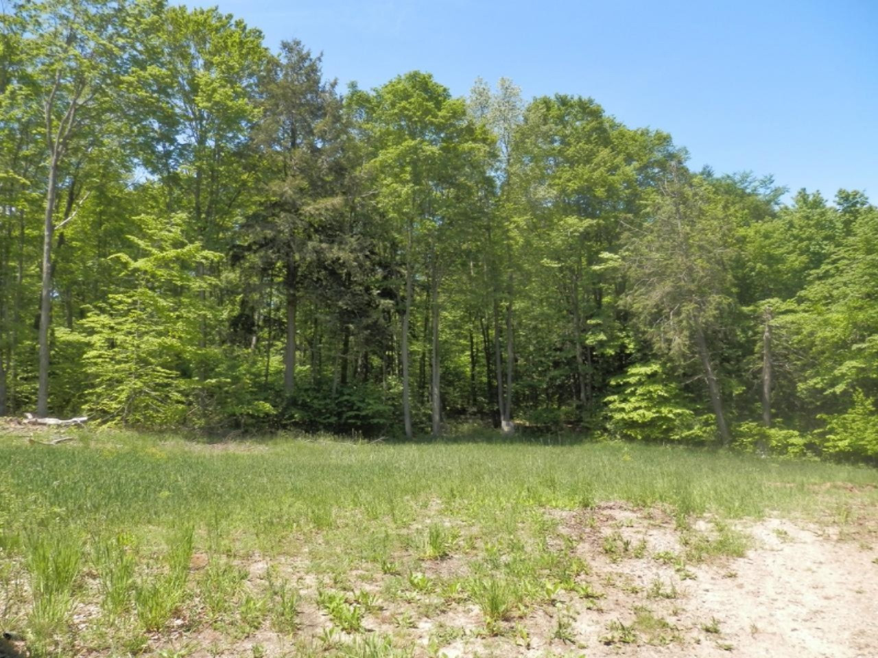 22296 Benton Road Mesick, MI 49668 - Photo 48 of 56 Beautiful rolling acreage with woods