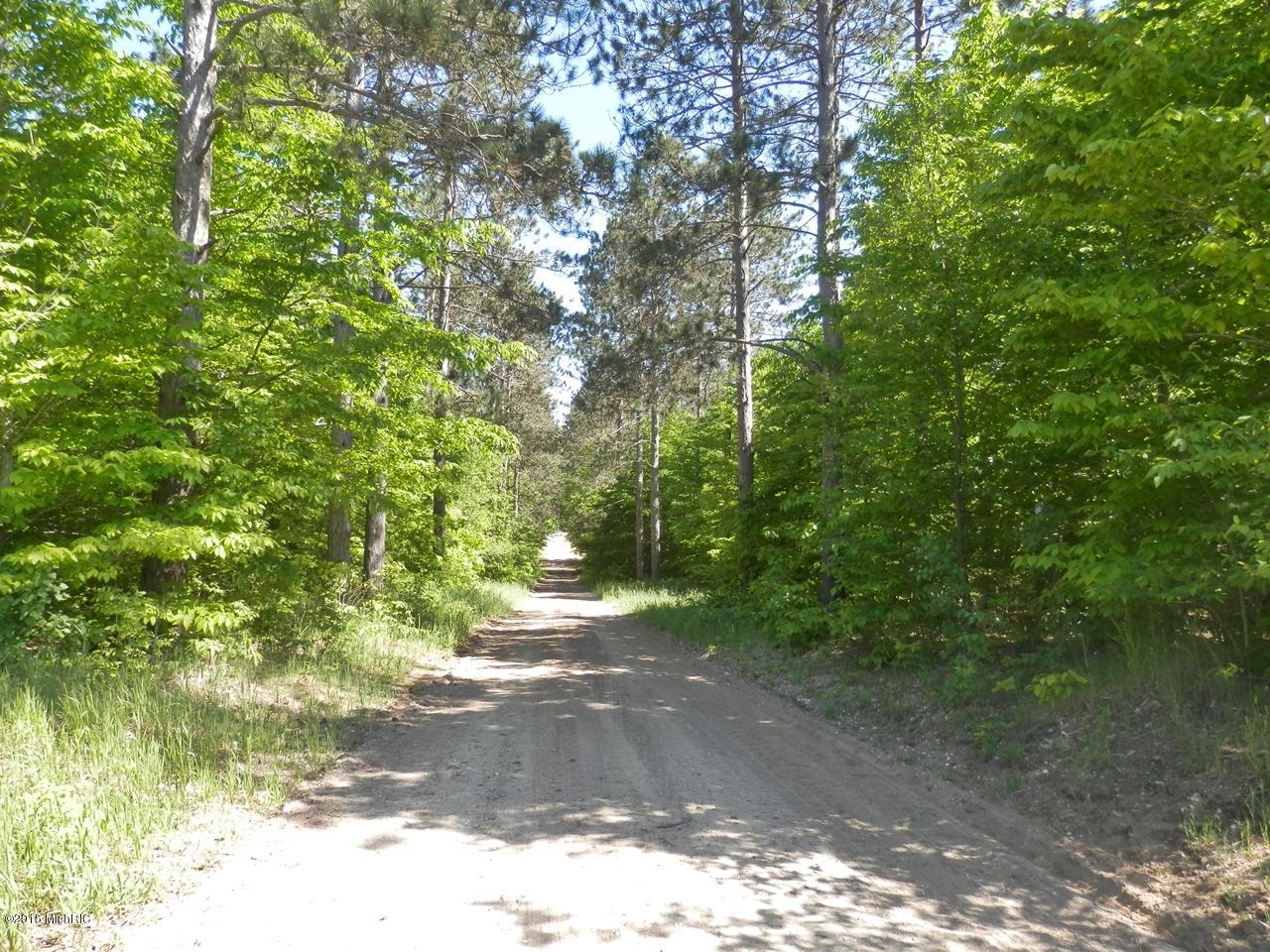 22296 Benton Road Mesick, MI 49668 - Photo 51 of 56 Tree lined drive entering the property
