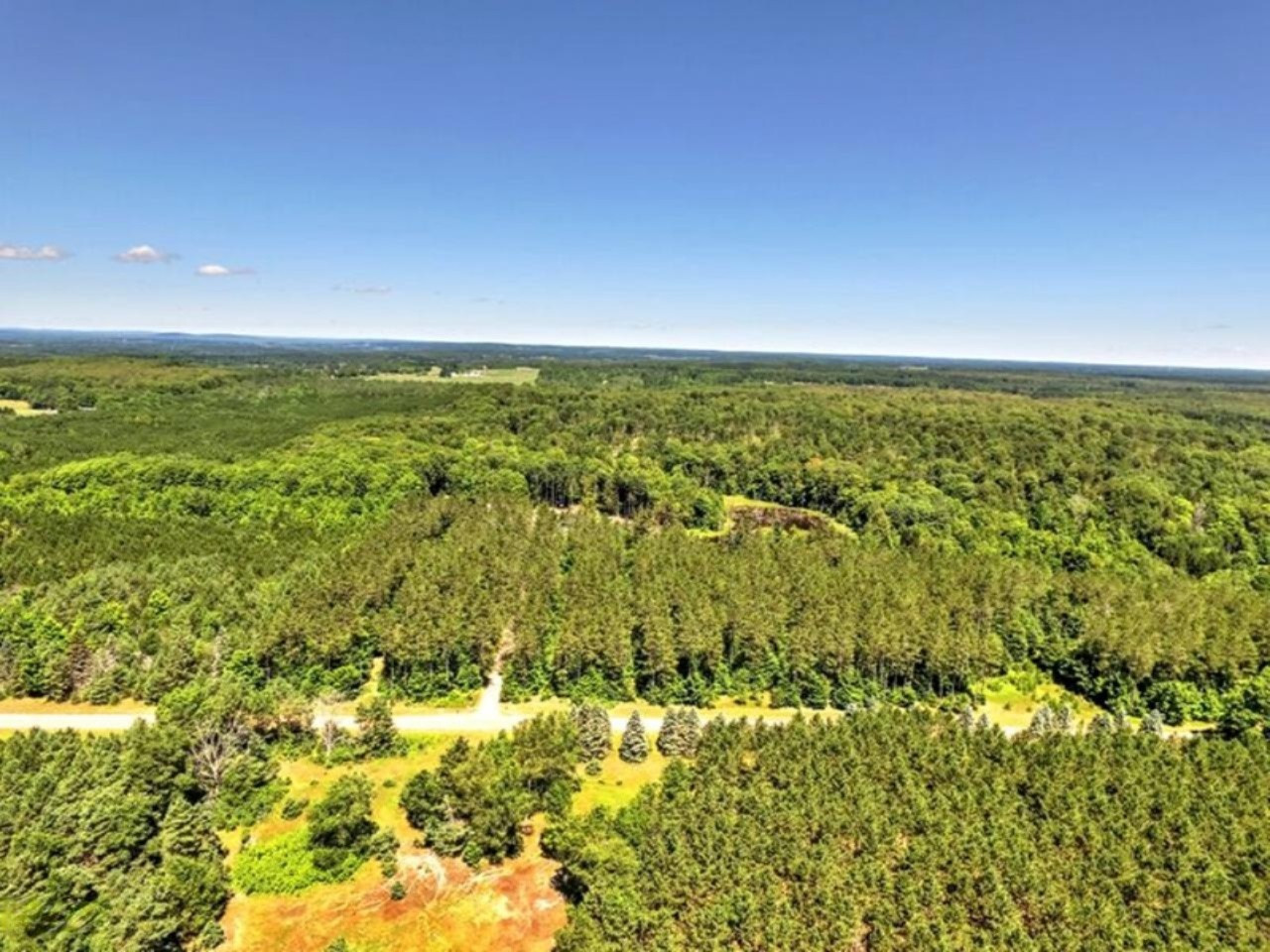 22296 Benton Road Mesick, MI 49668 - Photo 56 of 56 Overlooking the full 80 acres