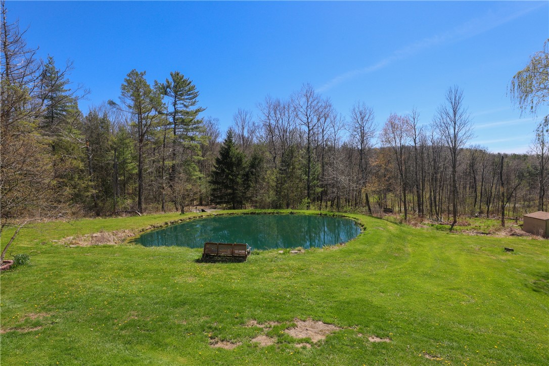 10181 Steamtown Road Lindley, NY 14858 - Photo 30 of 38