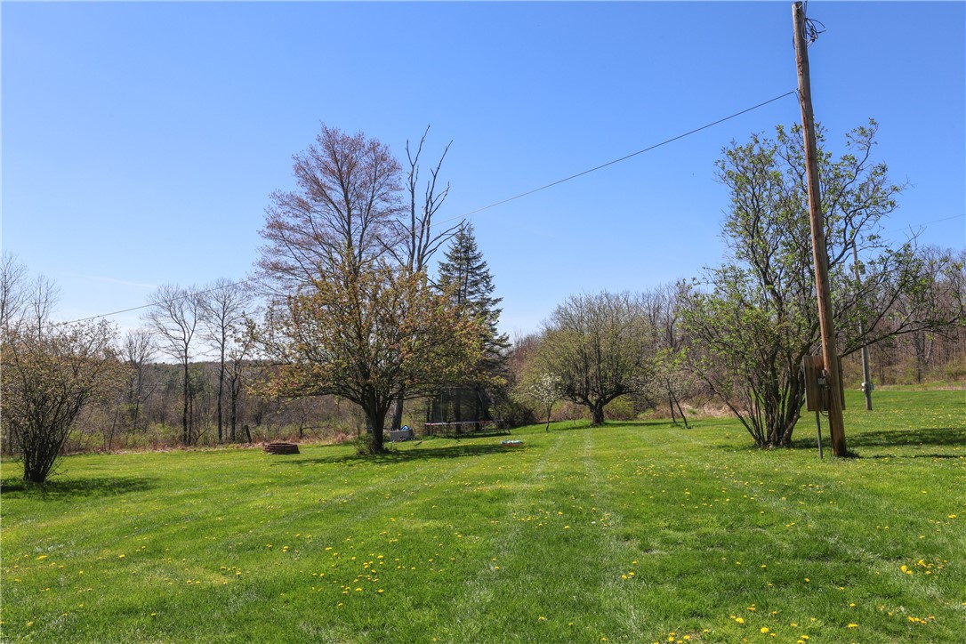 10181 Steamtown Road Lindley, NY 14858 - Photo 32 of 38